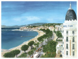 Cannes Posters by Gerard Malon