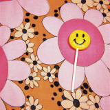 Happy Face Lollipop on Retro Flowers Photographie par Wendy Idele