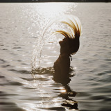 Silhouette of Woman Splashing Hair Out of Water Photographic Print by Dennis Hallinan