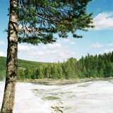 Rapids by a Forest Photographic Print by Tina Jonsson