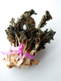 Dried Chinese Bok Choy Photographic Print