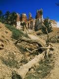 Rock Formations, Bryce Canyon National Park, Utah, Usa Photographie par Alex Adams