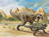 Tyrannosaurus Rex and Euoplocephalus Dinosaurs Walking on a Landscape Photographic Print