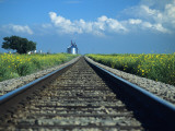 Train Tracks with Wild Flowers, Western Texas, Texas, Usa Photographie par Alex Adams