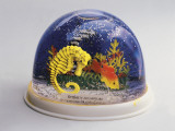 Close-Up of Figurines of a Sea Horse and a Fish in a Snow Globe Photographic Print