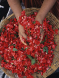 Close-Up of Rose Petals, Varanasi, India Photographic Print by Ami Vitale