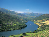 High Angle View of Vineyards Along a River, Douro Valley, Portugal Photographic Print High Angle View of Vineyards Along a River, Douro Valley, Portugal Photographic Print