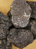 Close-Up of Black Truffles (Tuber Melanosporum) Photographic Print by P. Puccinelli