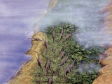 High Angle View of Brachiosaurus Dinosaurs at the Coast Photographic Print