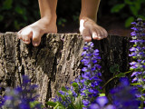 Girl Standing on Tree Stump Photographic Print by David Patrick Valera