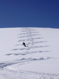 Snow Skier Making Rythmic Tracks in Fresh Powder Photographic Print by Andrew Castellano