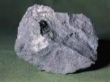 Close-Up of Basalt Fotografisk trykk av C. Bevilacqua