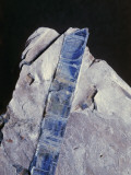 Close-Up of Kyanite Fotografisk trykk av C. Bevilacqua