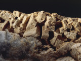Close-Up of White Hemimorphite Photographic Print by A. Rizzi