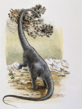 Dinosaur Eating a Leaf Photographic Print