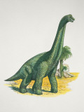Brachiosaurus Dinosaur in a Forest Photographic Print