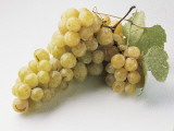 Close-Up of a Bunch of Grapes Photographic Print by A. Pagani