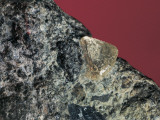 Close-Up of a Rough Diamond Photographic Print by C. Bevilacqua