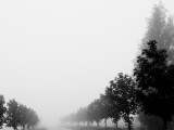 A Foggy Morning Fotografie-Druck von Erik Van Hannen