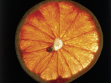 Close-Up of the Cross Section of a Grapefruit (Citrus Paradisi) Photographie par D. Dagli Orti