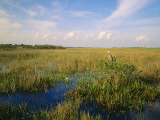 Usa, Florida, Everglades National Park Photographic Print by Jeff Foott