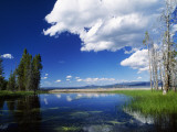 Usa, Wyoming, Yellowstone National Park, Yellowstone Lake, Reflection of Clouds and Trees Fotografisk trykk av Jeff Foott Usa, Wyoming, Yellowstone National Park, Yellowstone Lake, Reflection of Clouds and Trees Fotografisk trykk av Jeff Foott