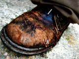 Old Shoe Photographic Print by Irene Schmidt