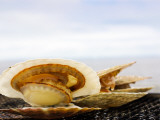 Fresh Scallop on Bbq by the Sea Photographie par Ippei Naoi
