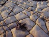 Stone Patterns Create Textured Scenery Photographic Print by Jeff Foott