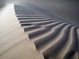 Sand Dunes in the Mohave Desert Fotografisk trykk av Jeff Foott Sand Dunes in the Mohave Desert Fotografisk trykk av Jeff Foott