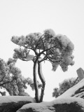 China, Anhui Province, Mt Photographie par Keren Su