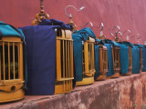 China, Yunnan Provinces, Bird Cages by Ancient City Wall Photographic Print by Keren Su
