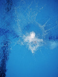 Splash Created by Diver Diving into Pool, Overhead View Photographic Print