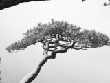 China, Anhui Province, Mt Photographie par Keren Su