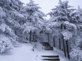 China, Anhui Province, Mt Photographie par Keren Su
