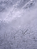 China, Anhui Province, Mt Photographie par Keren Su