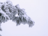 China, Anhui Province, Mt Photographie par Keren Su