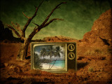 The Sun Always Shines on Tv Photographic Print by Kurt Tutschek & Sigrid Kleinecke