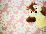 A Squirrel Puppet Photographic Print
