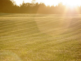 A Field in Sweden Photographic Print by Lasse Pattersson