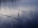 Marks in Ice Photographic Print by Lars Granwall