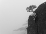 China, Anhui Province, Mt Photographie par Keren Su