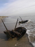 Delaware, Prime Hook National Wildlife Refuge, Horseshoe Crabs Lie Stranded Upside Down Photographic Print by Joey Gardner