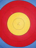 Archery Target with Holes in Centre Photographic Print