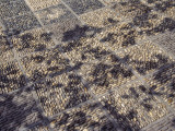 China, Shanghai, Shadow of Tree on Pebbled Path in Chinese Garden Photographic Print by Keren Su China, Shanghai, Shadow of Tree on Pebbled Path in Chinese Garden Photographic Print by Keren Su