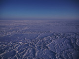 Detail of Pressure Ridges Photographic Print by Jeff Foott