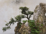China, Yunnan Province, Bonsai, Potted Landscape Photographic Print by Keren Su