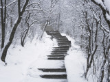 China, Anhui Province, Mt Photographie par Keren Su