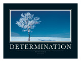 Determination Giclee Print by Jeanne Apelseth