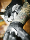 Close-Up of a Tattoo Artist Tattooing Himself Photographic Print